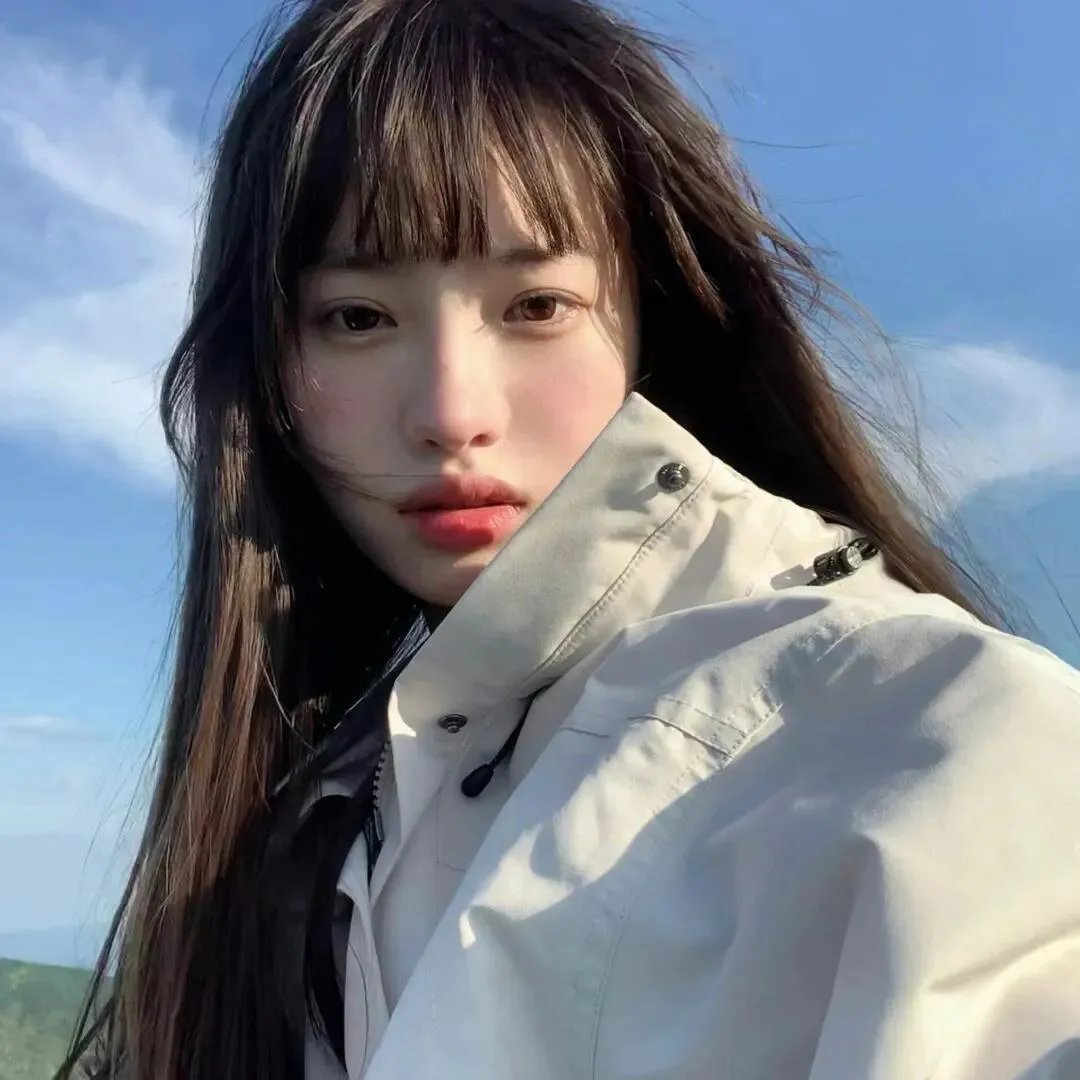 动物频道