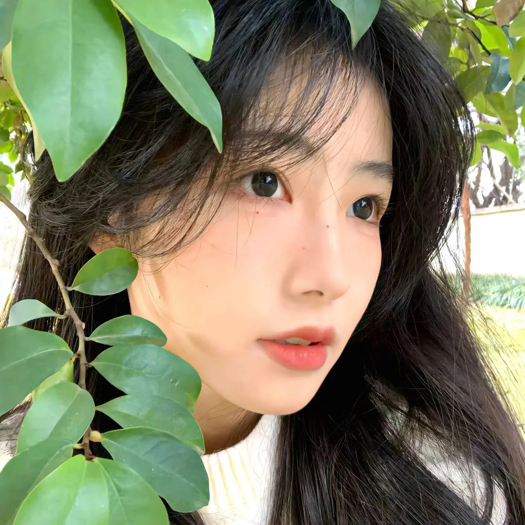 疯狂的麦咭第五季